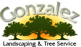 Gonzalez Landscaping and Tree Service